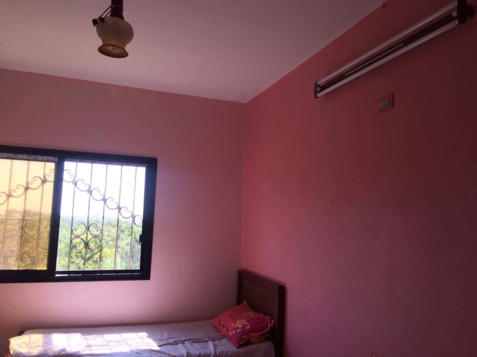 529166454_1431348831920747_5716089655965928900_n