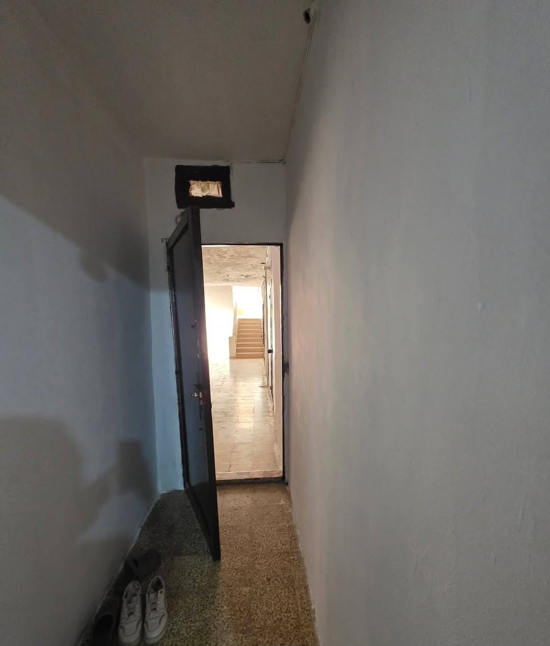 529300547_122207682536482961_5316210366157672276_n