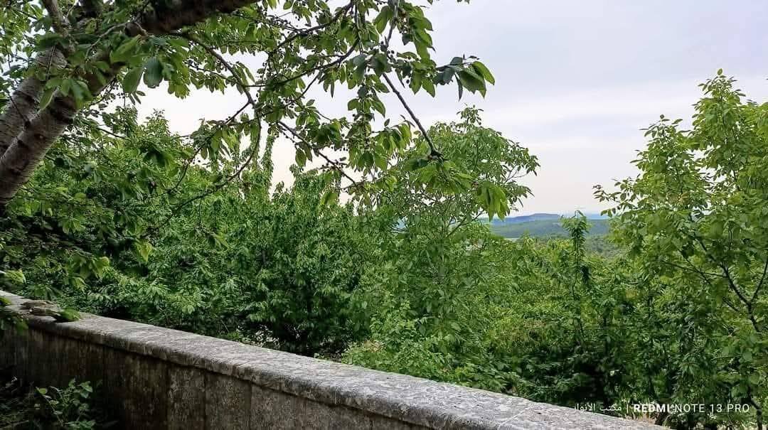 529762407_1174703631344845_9038000340948941223_n