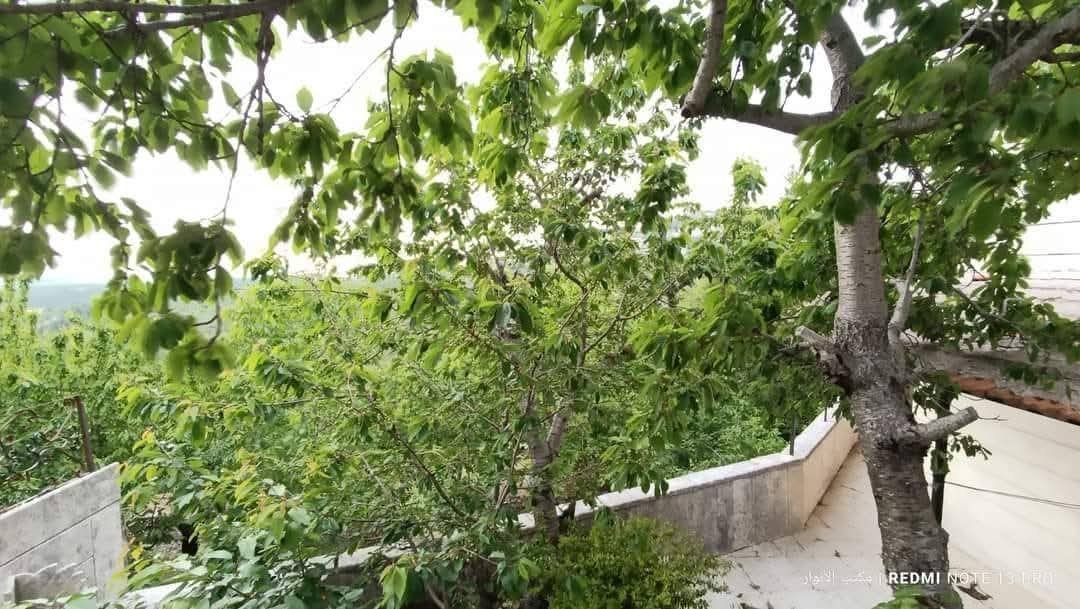 530052417_1174703498011525_8418171349892908713_n