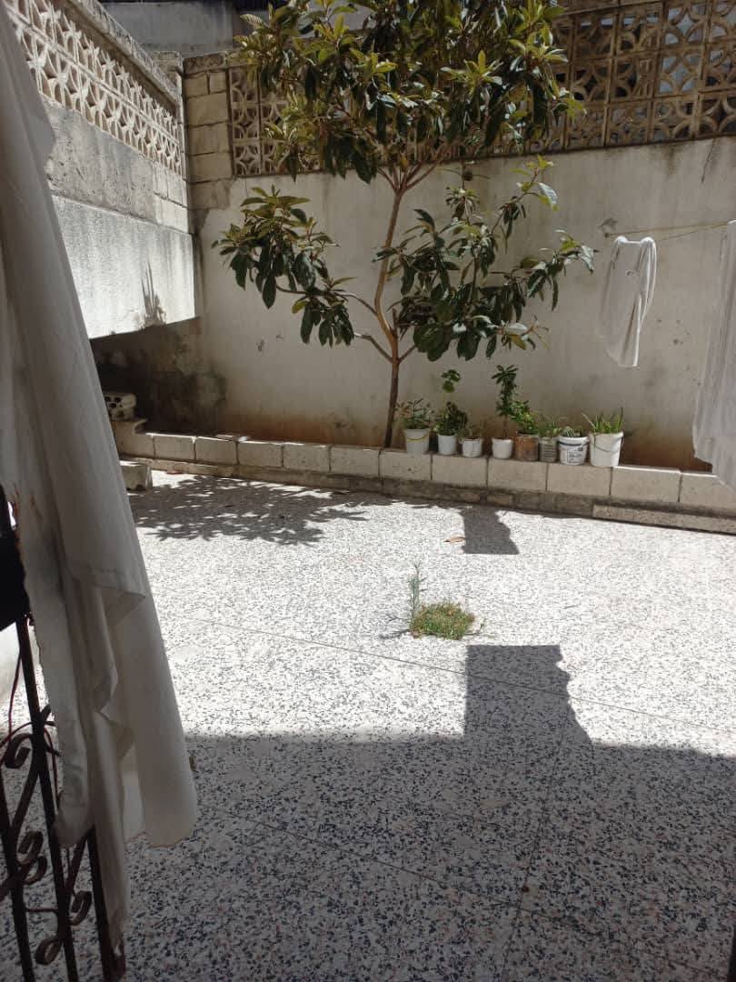 533101288_1437546501300980_5370820645214082448_n