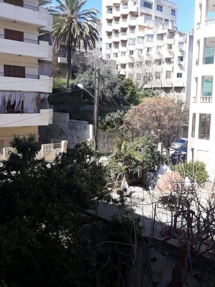 537191832_773094188807224_7033249652013690947_n