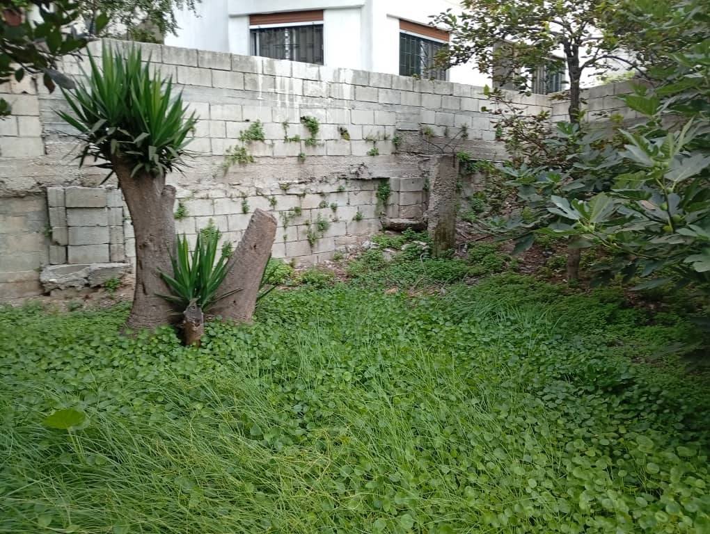 537726314_1177543604184250_7715408406117755351_n