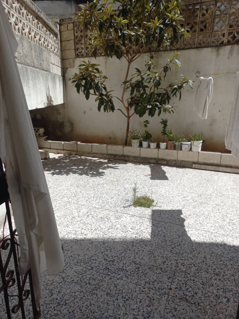 538207946_1177415587530385_2224211967751034858_n