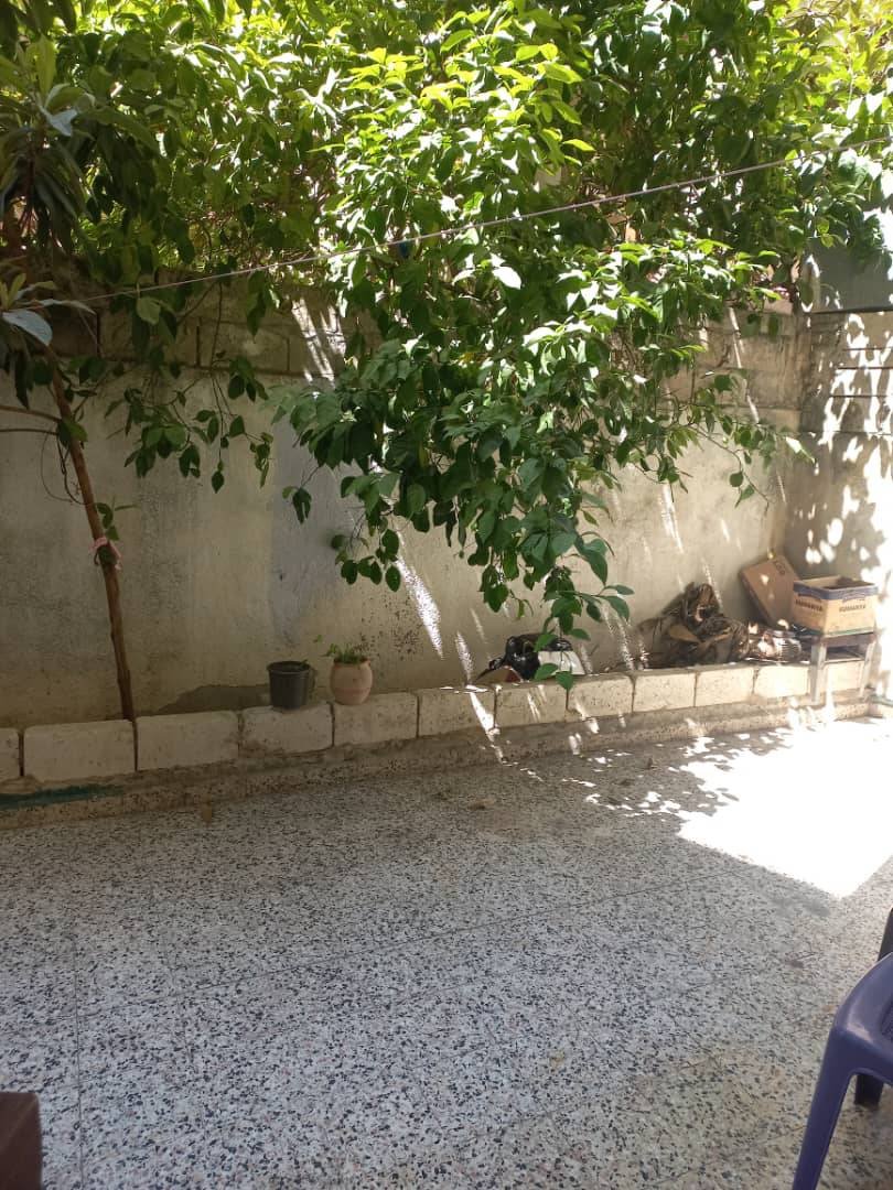 538275389_1177415510863726_954236373776280559_n