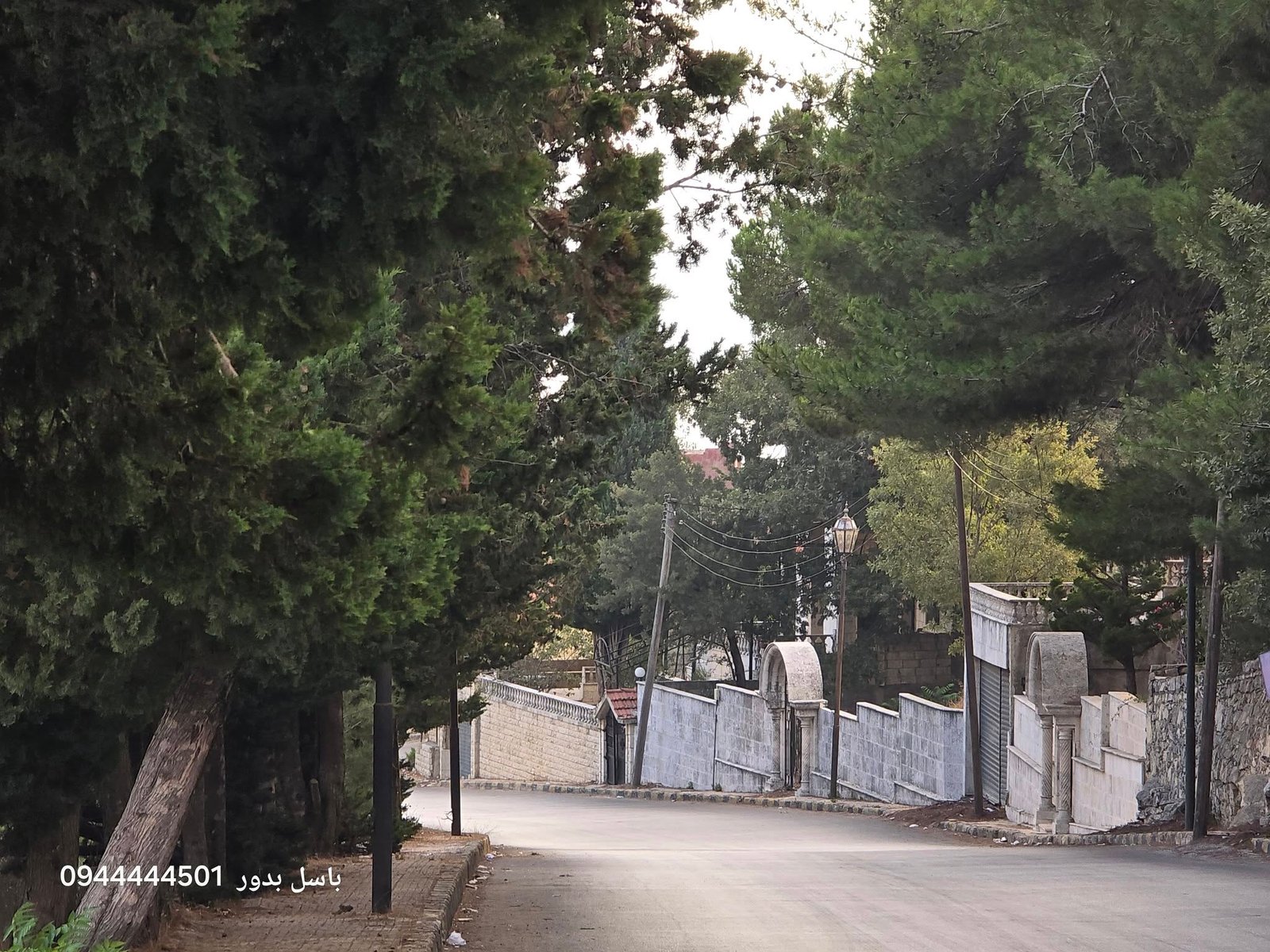 539093494_1188860583262483_3515984855869076709_n