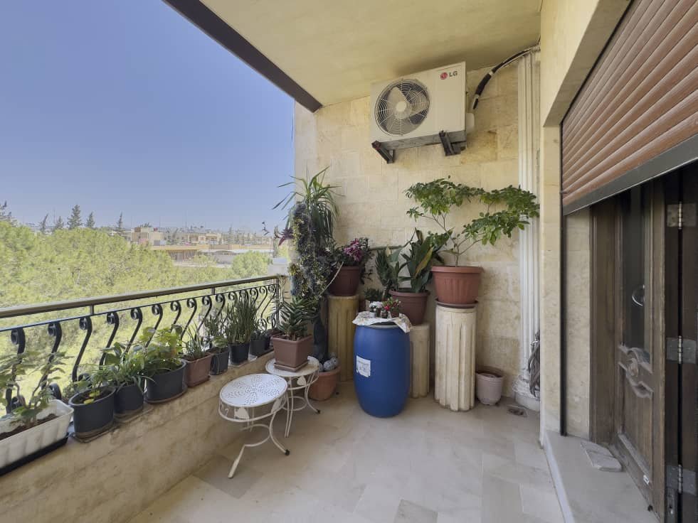 WhatsApp Image 2025-08-26 at 22.46.56